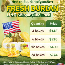 Durian Boxs Set 6
